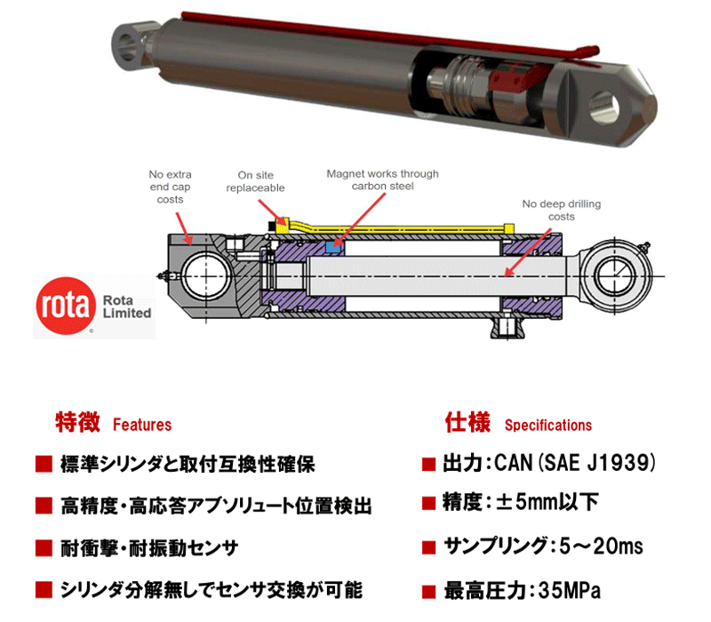 kayaba22